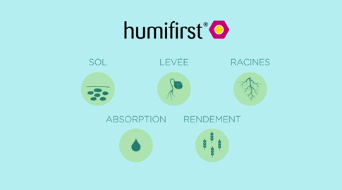 Humifirst® produceer meer met dezelfde hoeveelheid meststof
